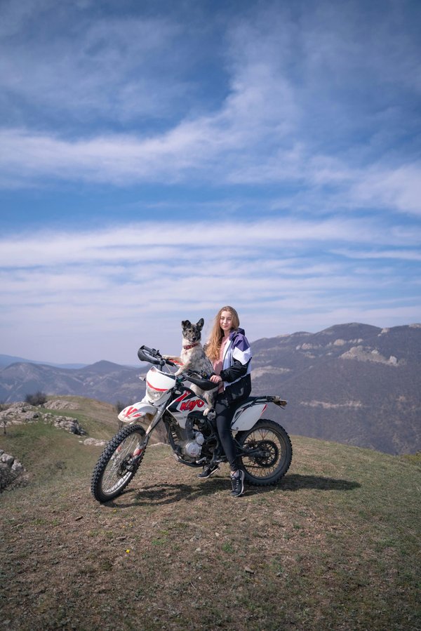 Accessoires de sécurité pour une balade moto avec votre chien